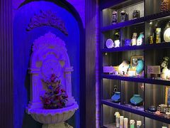 -雪灵魔法世界SHELLY’S TAROT(大良桂畔里店)