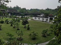-盆景园(扬州大运河文化旅游度假区)