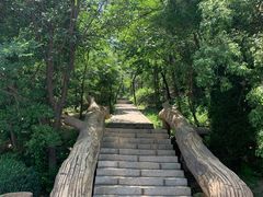 -金龙寺国家森林公园