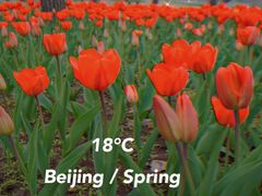 -国家植物园