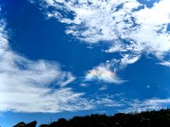 -白水寺森林公园