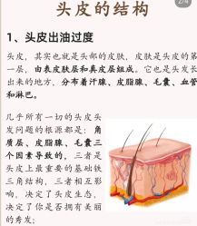 -Bollins波林丝•专研护发中心