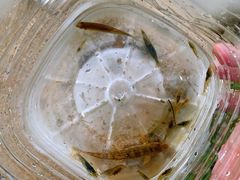 -海窝子古镇