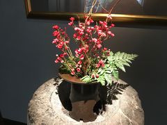 -觀芷隐轩