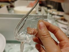 -BLACKSWAN黑天鹅(环球店)