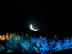 -禅宗少林·音乐大典