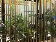 -四季合味椰子鸡(南山大冲店)
