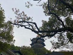 -浙江西子宾馆·瑶园咖啡厅