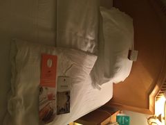 维景国际大酒店-南京维景国际大酒店(南京博物院店)