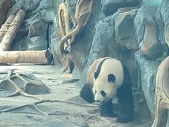 -武汉动物园