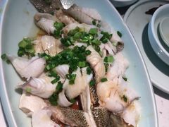 -大榕树下顺德菜(融创茂店)