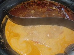 -生活如沸·顺德水牛奶火锅(大学路店)