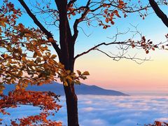 -五女山景区