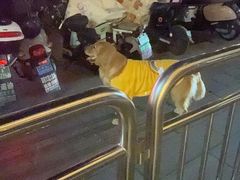 -火山屋台(新街口店)