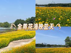 -海珠湖公园