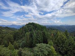 -山王坪喀斯特国家生态公园