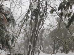 -九峰山
