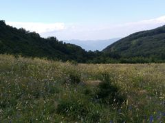 -白草畔自然风景区