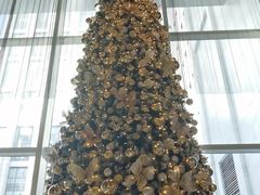 -北京康莱德酒店