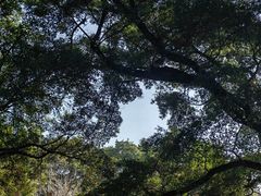 -桂林独秀峰王城景区