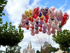 -上海迪士尼度假区