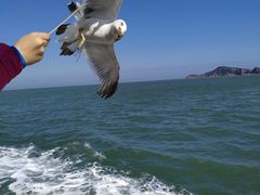 -海驴岛(荣成市)