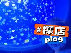 -江和美海洋公园