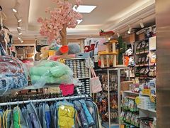 -北京观赏动物医院·24小时大型综合·猫专科·异宠专科