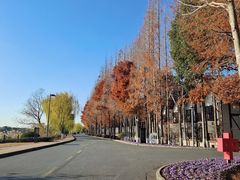 -太阳岛度假酒店