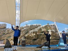 -芜湖新华联大白鲸海洋公园