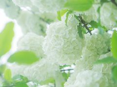 -大龙山(地铁站)