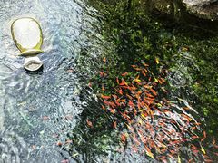 -水磨沟公园