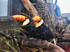 -大连森林动物园