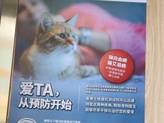 -恒幸动物医院·急重症转诊中心·神经内外科·CT核磁