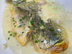-飞尝蚝·顺德菜·鱼生(顺德总店)
