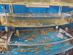 -四海蒸鲜蒸汽海鲜自助(北戴河店)