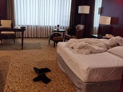 -上海圣淘沙万怡酒店