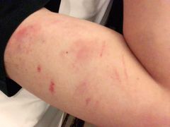 -Club Queen皇后酒吧