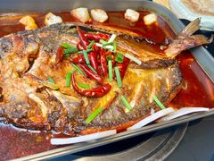 -鱼乐旺·脆皮烤鱼·牛蛙煲