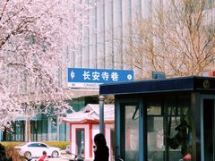 -长安寺