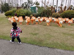 -上海长兴岛郊野公园