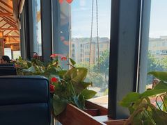 -粤点越有·茶点·粤菜(樵岭国际店)