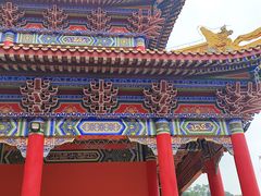 -东莞市大岭山森林公园