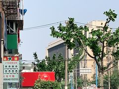 -苹果花园(龙漕路店)