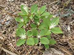 -南京市无想山景区