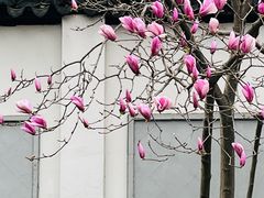 -无锡城中皇冠假日酒店·芳园中餐厅