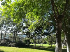 -北京国家会计学院