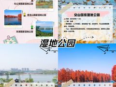 -青龙山国家森林公园