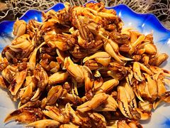 -齐河孔雀王温泉酒店·金孔雀自助百汇