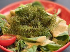 冰草海葡萄沙拉-炙柒Sekinana·精致料理 烧鸟·铁板烧(海上世界店)